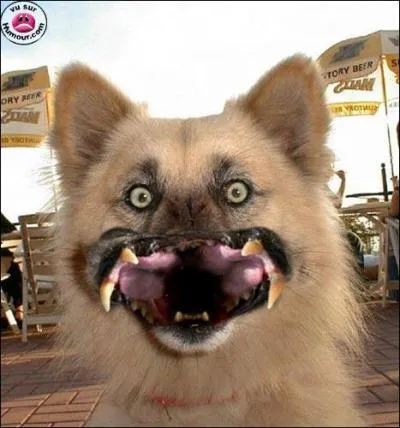 A quel film peut vous faire penser cette photo?