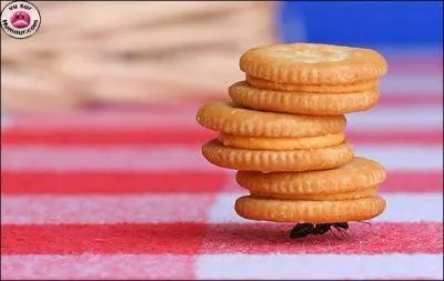 A quel film peut vous faire penser cette photo ?