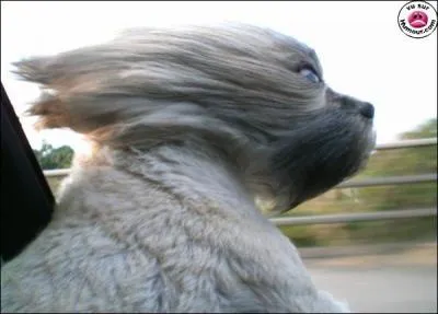 A quel film peut vous faire penser cette photo ?