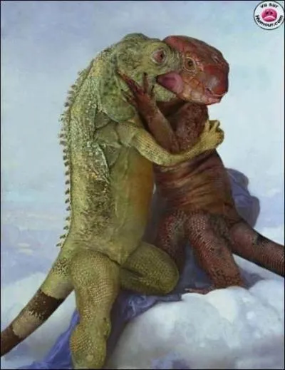 A quel film peut vous faire penser cette photo ?