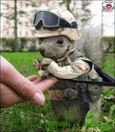 A quel film peut vous faire penser cette photo ?