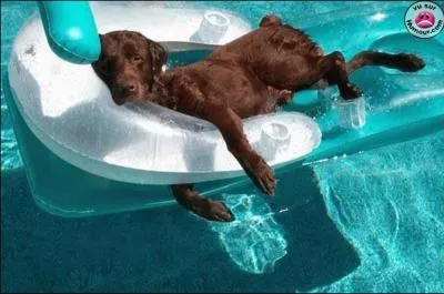 A quel film peut vous faire penser cette photo ?