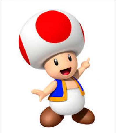 Comment s'appelle le personnage du jeu vidéo "Mario Bros." qui a la forme d'un champignon ?