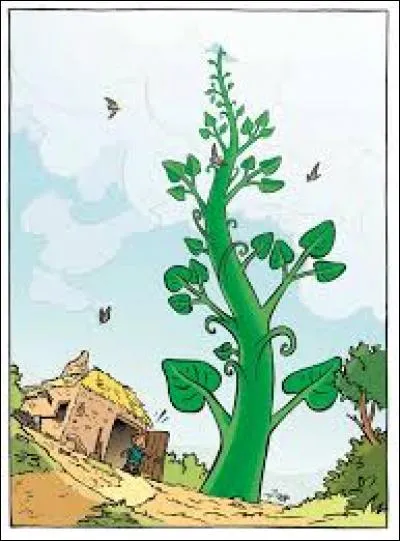 Dans un conte, comment s'appelle le garçon qui possède des haricots magiques ?