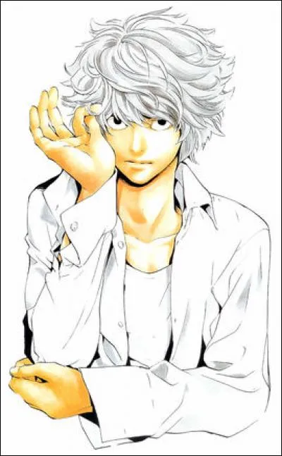 Nate River, connu sous le nom de Near, est un cousin de L. C'est ce qui explique leurs ressemblances.