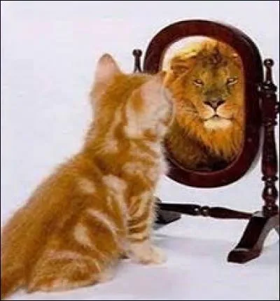 Que fait-on communément quand il s'agit de se montrer vaniteux ?