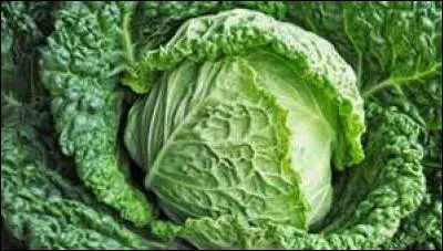 Quel adjectif associe-t-on à l'illustration afin de faire du profit ?