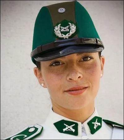 Garde à vue > "Madame la policière, pourriez-vous me mettre au vert pour 48 h dans votre beau pays ?"