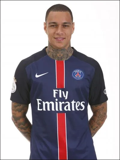 Quelle est la nationalit&eacute; de Gregory van der Wiel ?