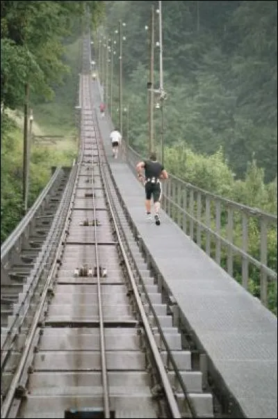 Je suis l'escalier ayant le plus grand nombre de marches au monde. Je suis situé dans les Alpes bernoises, en Suisse, sur le mont « Niesen ». J'ai été construit pour les travaux d'entretien du funiculaire amenant les visiteurs au sommet. Mais, au fait, combien de marches y a-t-il ?