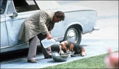 Je m'appelle « Le chien ». C'est mon maître qui a décidé de m'appeler ainsi car je ne réagissais à aucun autre nom. Le reconnaissez-vous ?