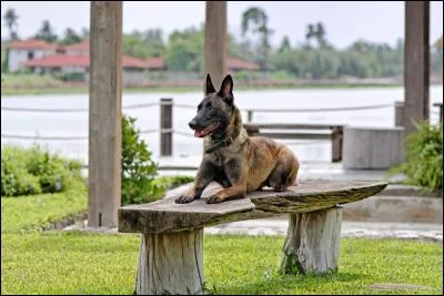 De quelle taille est-il ?