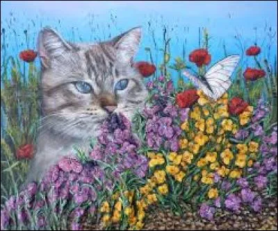 En Normandie, frelon :