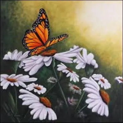 Familièrement, extravagant :