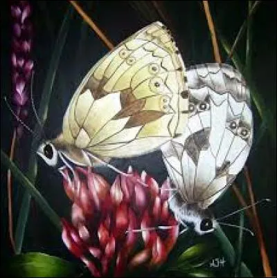 Feu de branchages, flambée :