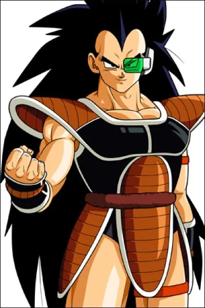 Comment s'appelle le frère de Son Goku ?