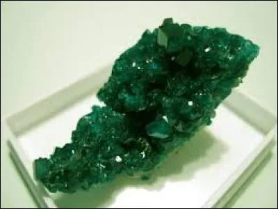 En Italie, terrain marécageux situé en bord de mer :