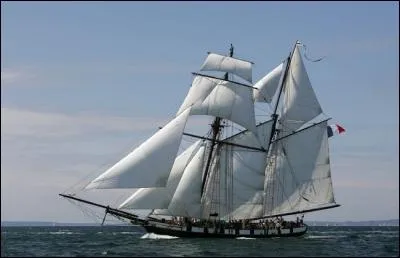 Il reste 800 000 000 en napoléons au fond de la mer : de quelle couleur ?