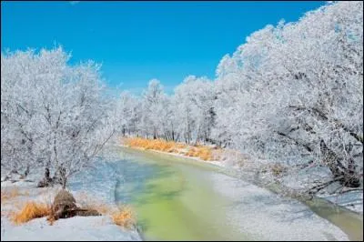 Restons au Canada : il y a de quoi se ravir les yeux, non ? Surtout dans...