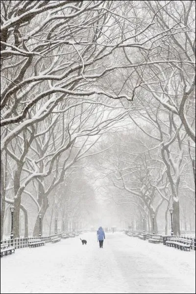 Nous sommes dans une ville capitale pour son pays mais non capitale de son pays. Laquelle ?