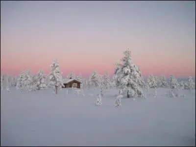 Encore une forêt, boréale celle-ci. Mais vous avez encore le choix, non ? C'est en....