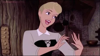 Mon Dieu. Blanche-Neige, tu es devenue... Un monstre ! J'ai peur, trop peur. Le coiffeur m'a fait une jolie coupe en échange de mes services (inutile de préciser lesquels). Mes marraines ont failli tomber dans les pommes. Il y avait Pimprenelle, Pâquerette et :