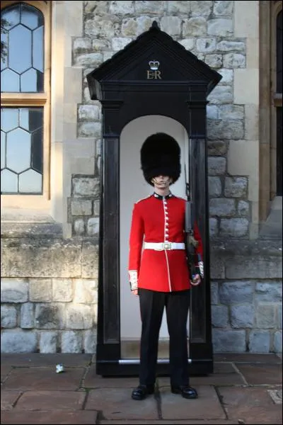 Quelle matière se cache derrière cette image ?