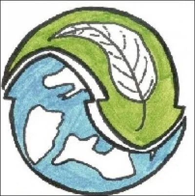 Quelle matière se cache derrière cette image ?