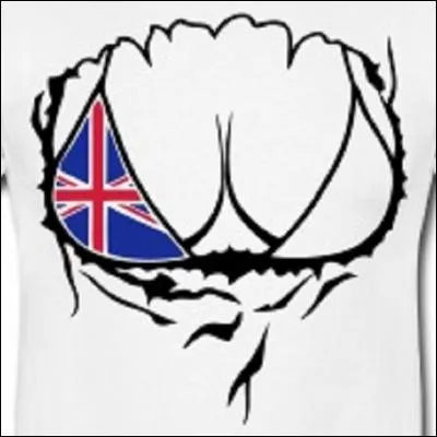 Quelle est la bonne traduction du mot 'sein' en anglais ?