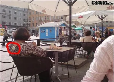 Trouvez, d'après la photo, l'un des dix commandements !