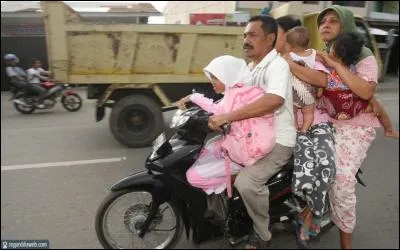 Découvrez les interprètes de cette chanson : Famille Heureuse !