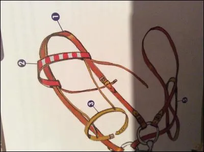 Le numéro 2 s'appelle :