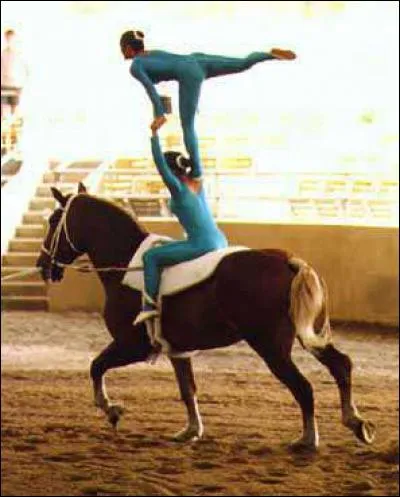 Quelles disciplines équestres n'existent pas ?