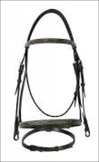 Que faut-il mettre en premier, comme harnachement :