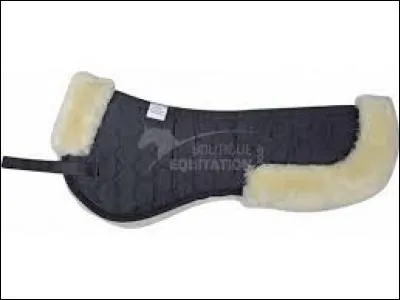 Que mettons-en premier ?