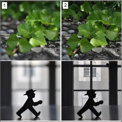 En quoi consiste l'ouverture ?