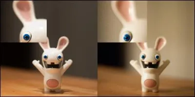 Lorsque l'on parle de &laquo; sensibilit&eacute; &raquo; en photographie, on fait r&eacute;f&eacute;rence &agrave; :