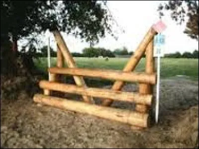 Quel est le nom de cet obstacle en cross ?