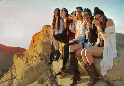 Avec qui ont-elles fait les covers de See You Again et Bad Blood ?