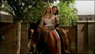 Comment s'appelle le cheval de Max et Caroline ?