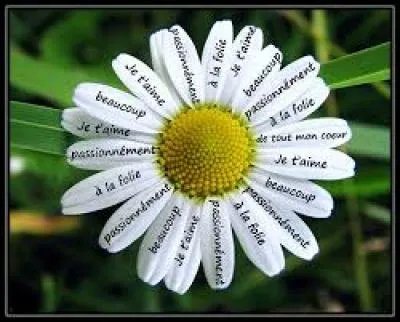 Dans quelle langue venant de la région Nord-Pas-de-Calais-Picardie dit-on "j't'ai ker" pour dire "je t'aime" ?