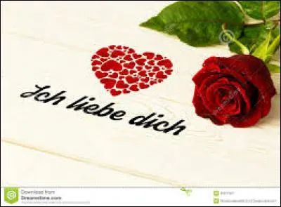 En berlinois, comment traduiriez-vous "je t'aime" ?