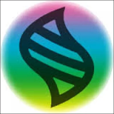 Quel est le premier Pokémon méga-évolué qu'on n'ai vu de la génération ?