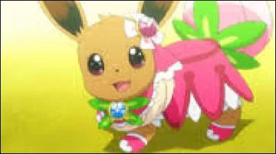 Question très difficile - Dans la saison 19, XY et Z, en quel Pokémon l'Evoli de Serena évolue-t-il ?