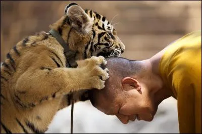 Ce temple a fait beaucoup parler de lui dans la province de Kanchanaburi.
Il est situé près de la rivière Kwaï Noi dans le district de :