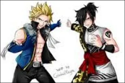 Qui sont les dragons jumeaux ?