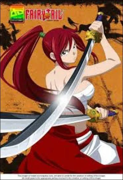 Quelle est l'armure la plus forte d'Erza ?