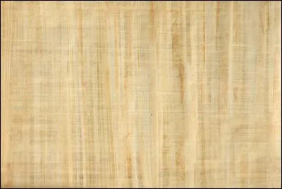 Sur quoi écrivaient les scribes dans l'Antiquité ?