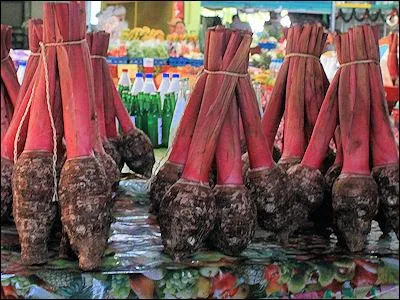 Ce légume pousse dans les régions tropicales ainsi que dans les régions tempérées assez chaudes, son goût peut rappeler celui de la patate douce. Mais de quelle racine alimentaire s'agit-il ?