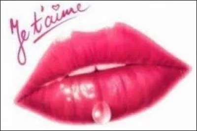 Dans quel pays pourra-t-on dire "jag älskar dig" ?